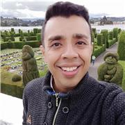 Profesor de Programación para todas las edades
